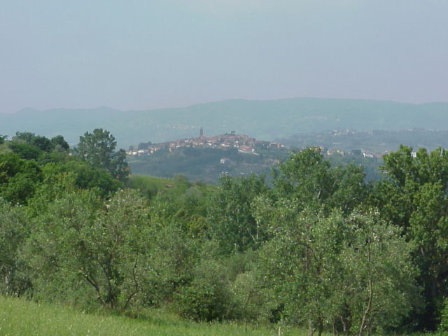 L'azienda di Montefoscoli