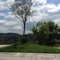 Riecine 20may2016 - 2.jpg