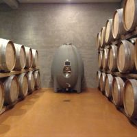 Riecine 20may2016 - 5.jpg