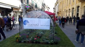 IMG_20170407_104048.jpg