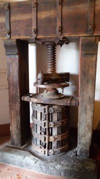 20160426_110243.jpg