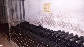 20160426_111702.jpg