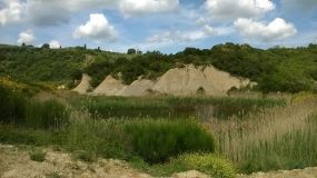 2_paesaggio2.jpg